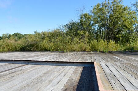 Boardwalkの写真素材