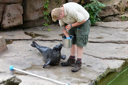 Sea Lion and Trainerのeditorial素材
