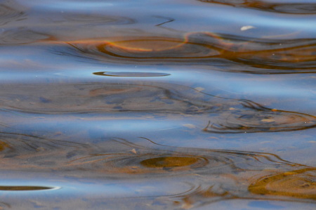 Water Ripples