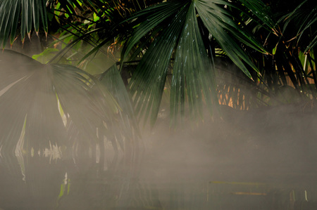 Tropical Landscapeの写真素材