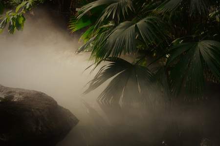 Tropical Landscapeの写真素材