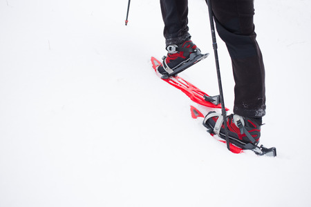Hiker trekking in the mountains.の写真素材