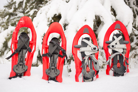 Snowshoes in the forest.の写真素材