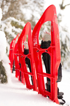 Snowshoes in the forest.の写真素材