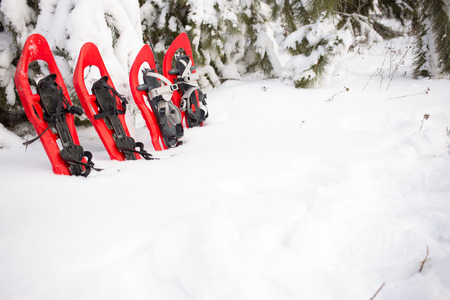 Snowshoes in the forest.の写真素材