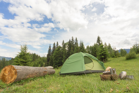 Camping in the mountains with the collected mushrooms and cooking facilities.の写真素材
