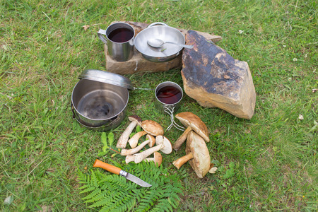 Camping in the mountains with the collected mushrooms and cooking facilities.の写真素材