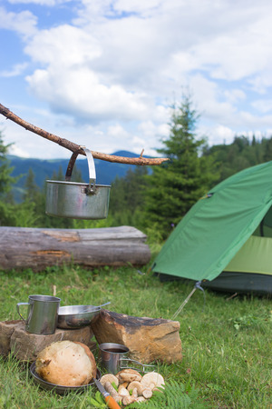 Hiking in the mountains in the summer with the collection of mushrooms.の写真素材