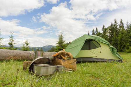 Camping in the mountains with the collected mushrooms and cooking facilities.の写真素材