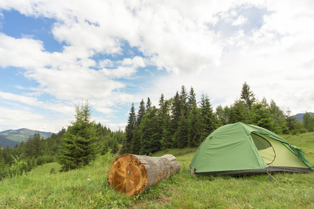 Camping in the mountains with the collected mushrooms and cooking facilities.の写真素材