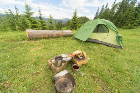 Camping in the mountains with the collected mushrooms and cooking facilities.の写真素材
