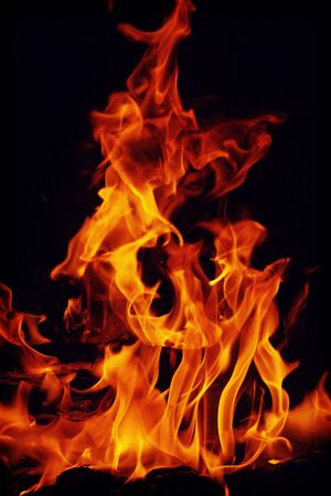 Beautiful fire flames on a black background.の写真素材