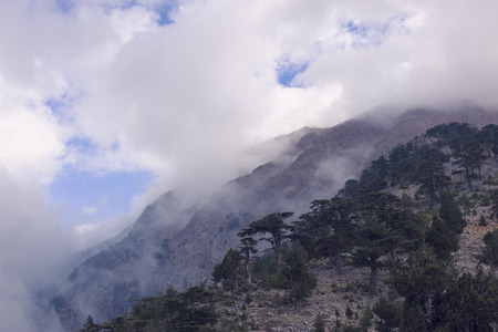 Beautiful panoramic mountain scenery of the mountains in the clouds.の写真素材