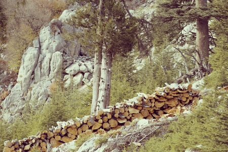 A lot of firewood stacked and ready for use.の写真素材