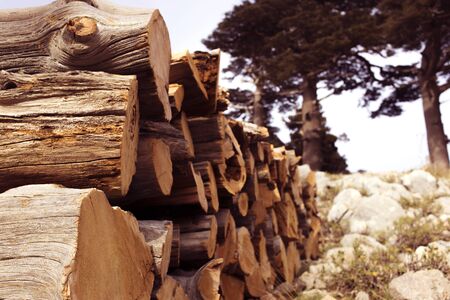 A lot of firewood stacked and ready for use.の写真素材