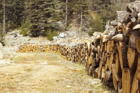A lot of firewood stacked and ready for use.