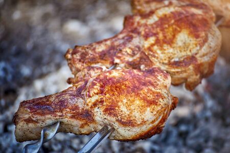 Cooking tasty meat on an open fire in nature.の写真素材
