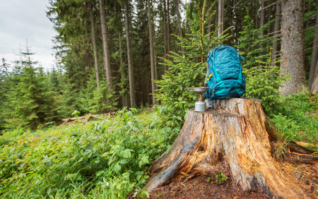 Hiking in the mountains with a backpack.