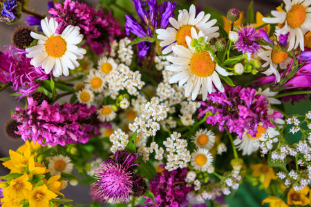 Meadow colorful flowers outdoors in sunny day on bright nature background.の写真素材