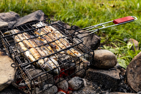 Grilling trout on a fire in the forest in summer.の写真素材