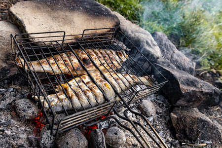 Grilling trout on a fire in the forest in summer.の写真素材