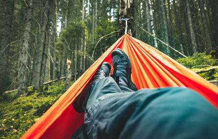 Summer hiking in the mountains with a hammock in a pine forest.の写真素材