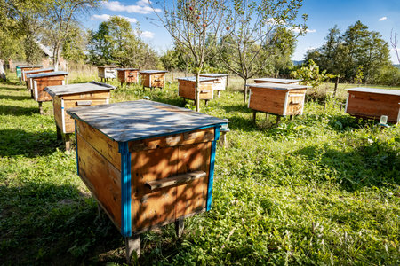 Wooden hive and bees. Bees fly in and out of the hive.
