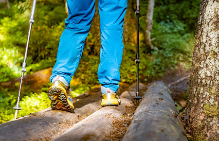 Hiking in the mountains with walking poles, beautiful views.の写真素材
