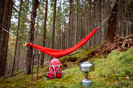 Summer hiking in the mountains with a hammock in a pine forest.の写真素材