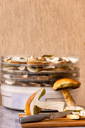 Autumn season of collecting porcini mushrooms, drying in mushroom dryers.の写真素材