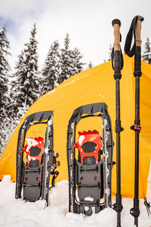 Camping in winter forest in orange tent with camping gear.の写真素材
