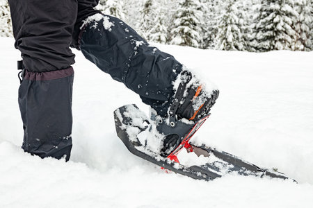 Snowshoes close-up, winter hiking in the mountains.の写真素材