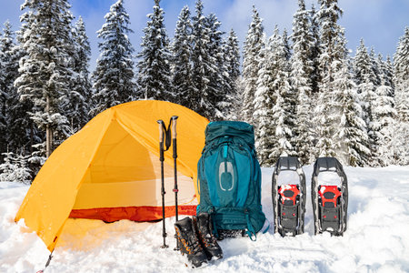 Camping in the winter forest with snowshoes and a tent.の写真素材