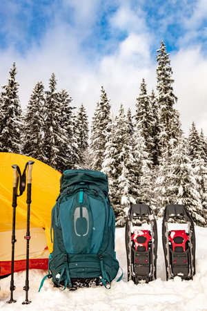 Camping in the winter forest with snowshoes and a tent.の写真素材