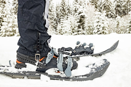 Snowshoes close-up, winter hiking in the mountains.の写真素材