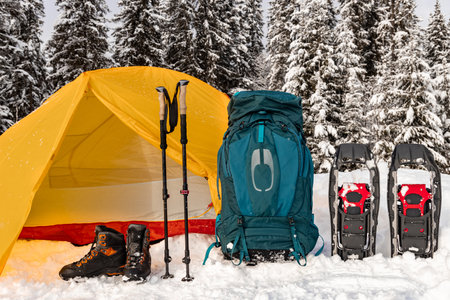 Camping in the winter forest with snowshoes and a tent.の写真素材