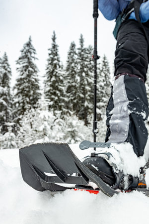 Winter hiking in the mountains with a backpack and snowshoes.の写真素材