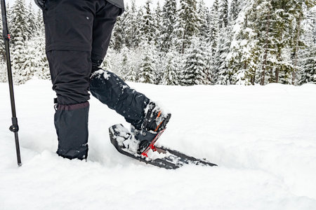 Snowshoes close-up, winter hiking in the mountains.の写真素材