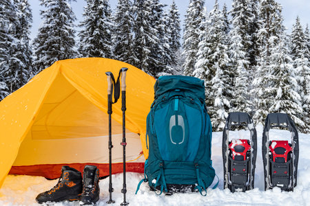 Camping in the winter forest with snowshoes and a tent.の写真素材