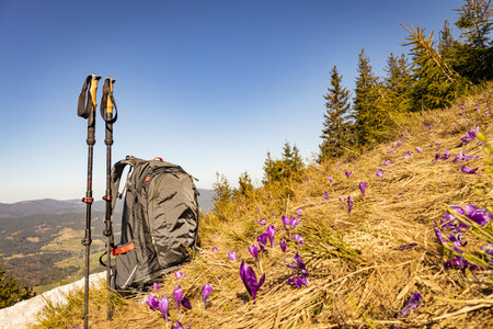 Picturesque view of mountain peaks in spring, hiking with a backpack.の写真素材