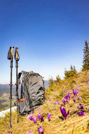Picturesque view of mountain peaks in spring, hiking with a backpack.の写真素材