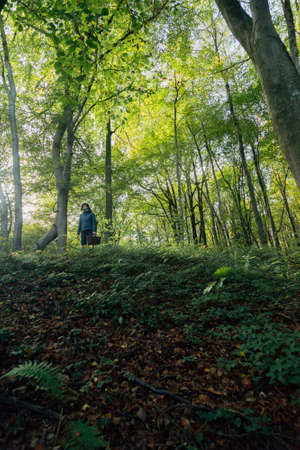 Mushroom harvest in the large Forest. Autumn plants. Girl with basketの写真素材