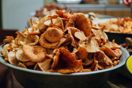 Mushroom harvest. Many Autumn plants. Mushroom preparationの写真素材