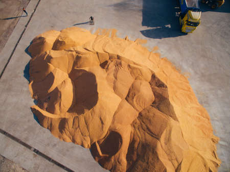 View from the Air Above the Grain Warehouse. Harvesting Corn.の写真素材