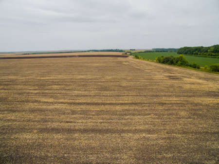 Harvesting in the field. Aerial view. A Lot of Land