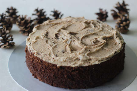 Chocolate cake with vanilla butter icing mixed with chocolate as the topping. Shot on white...