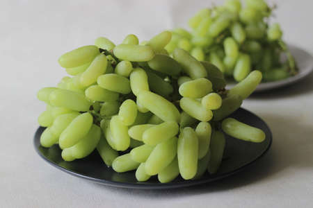 Indian variety of green seedless grapes with a long finger like shape. Shot on white background.の写真素材