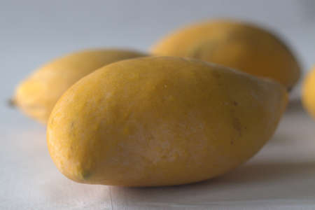 Totapuri mango or Ginimoothi is a cultivar that is widely grown in south India and is partially...