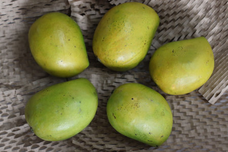 Fresh and ripe Priyoor mangoes. A premium variety of mangoes from Kerala. It is exceptionally sweet and juicy and has a rich, tropical aroma and flavor that bring water to your mouthの写真素材