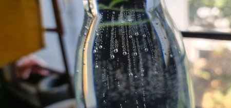 Effervescent bubbles dance in a glass bottle filled with crisp drinking water, creating a refreshing and invigorating sceneの写真素材